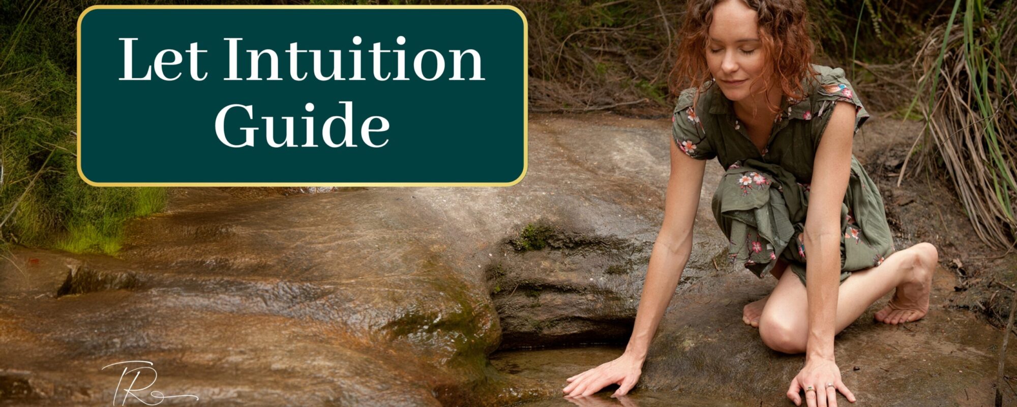 Let Intuition Guide
