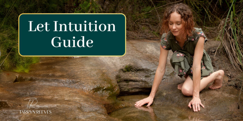 Let Intuition Guide